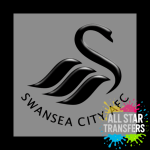 Sport - Swansea