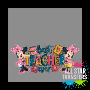 Mini - Teacher
