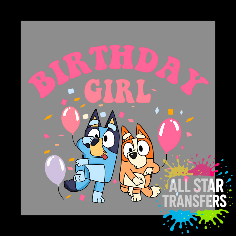Bluey Birthday girl